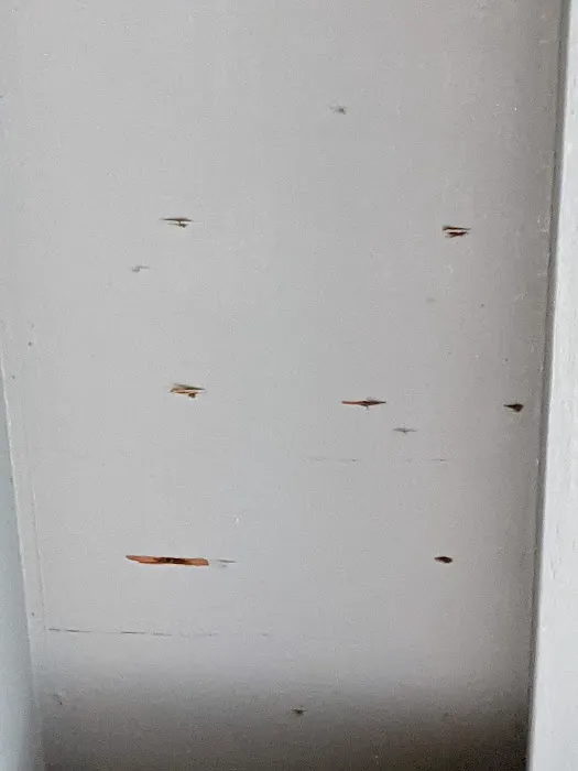 Rock Roofing | Trusted Residential & Multi-Family Roofing Experts Picture 5