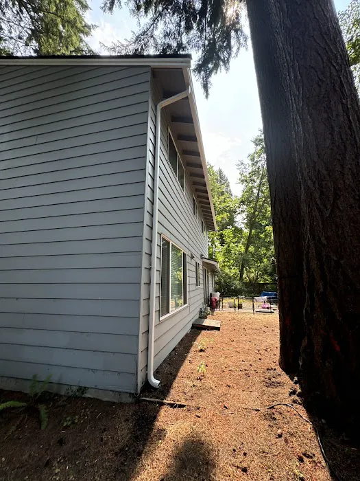 MV CONSTRUCTION AND CLEANING SERVICES LLC Picture 6