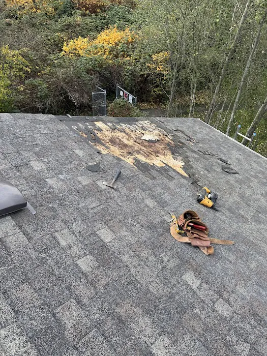 MV CONSTRUCTION AND CLEANING SERVICES LLC Picture 1