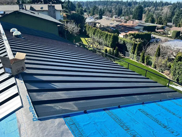 Atrax Roof & Gutter Picture 2