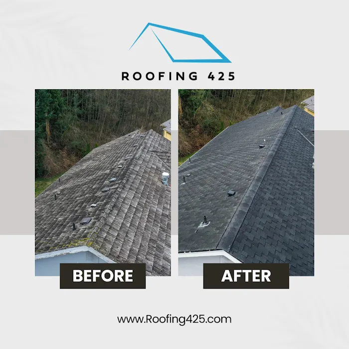 Roofing 425 Picture 3