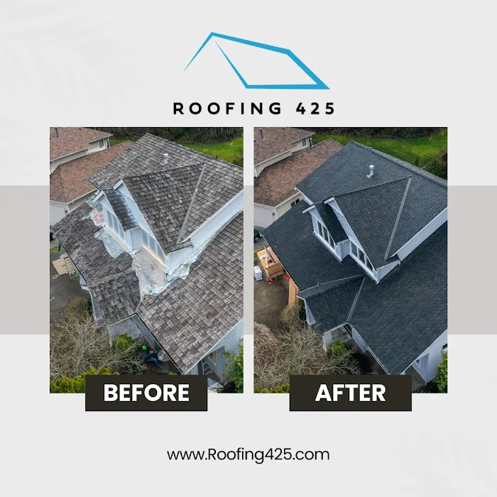 Roofing 425 Picture 4