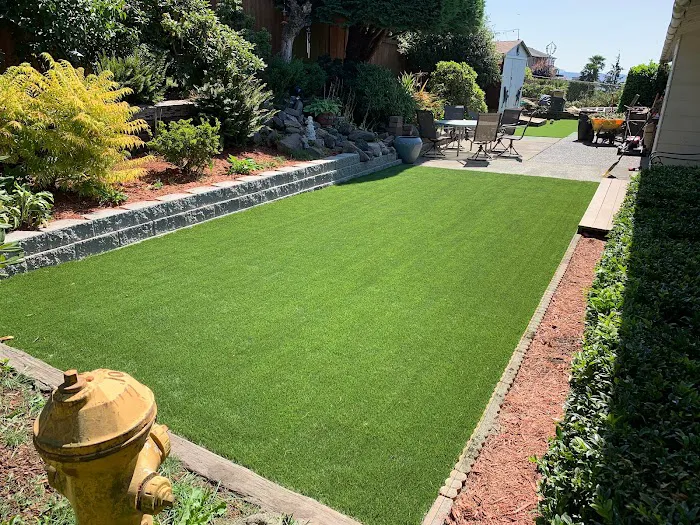 Rapido Roofing and Construction LLC Picture 8