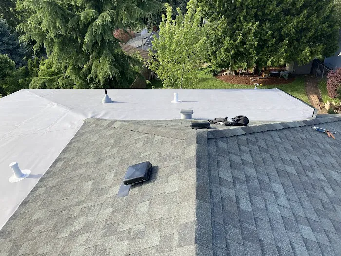 Pacific Pro's Contracting LLC Picture 4