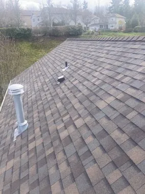 Pacific Pro's Contracting LLC Picture 3