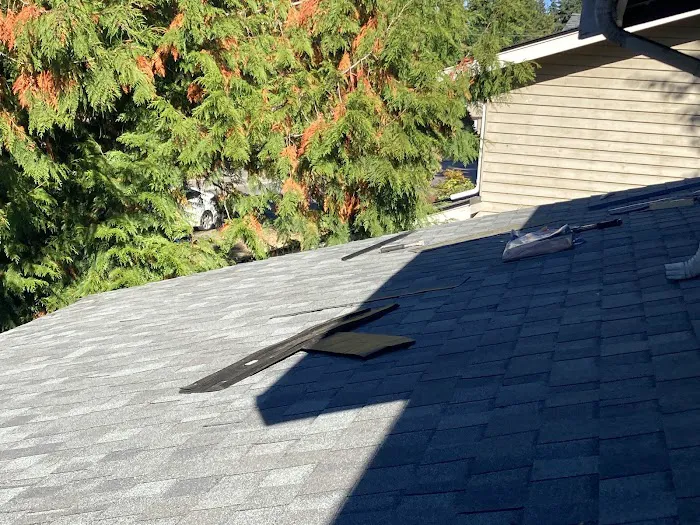 Pacific Pro's Contracting LLC Picture 5