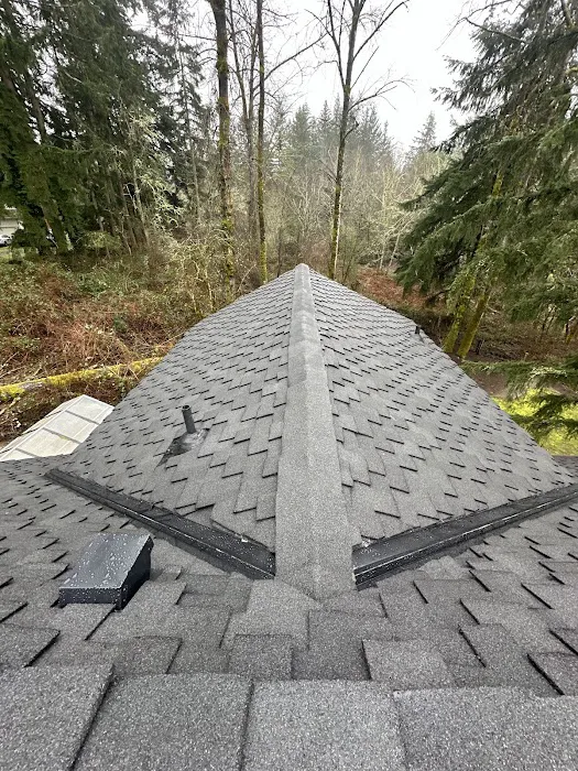 Monumental Roofing LLC Picture 10