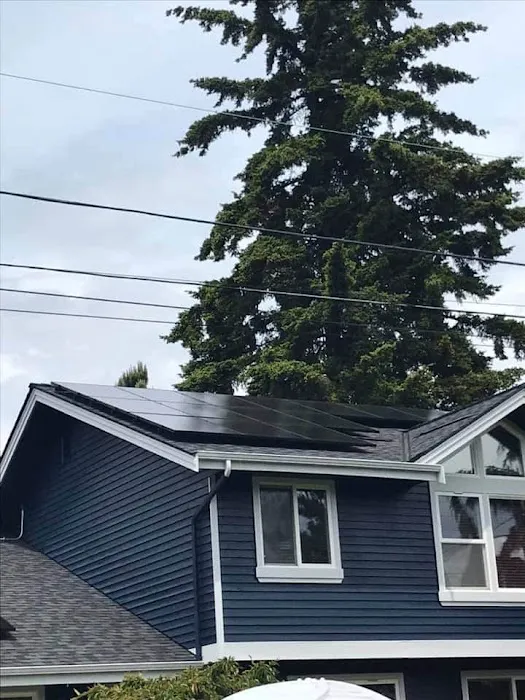 Pinnacle Roofing Professionals, LLC Picture 4