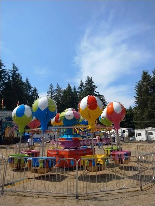 Team Roofing Northwest, LLC Picture 3