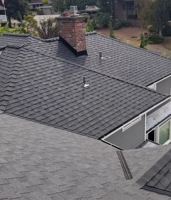 ROOF BOSS USA Picture 2