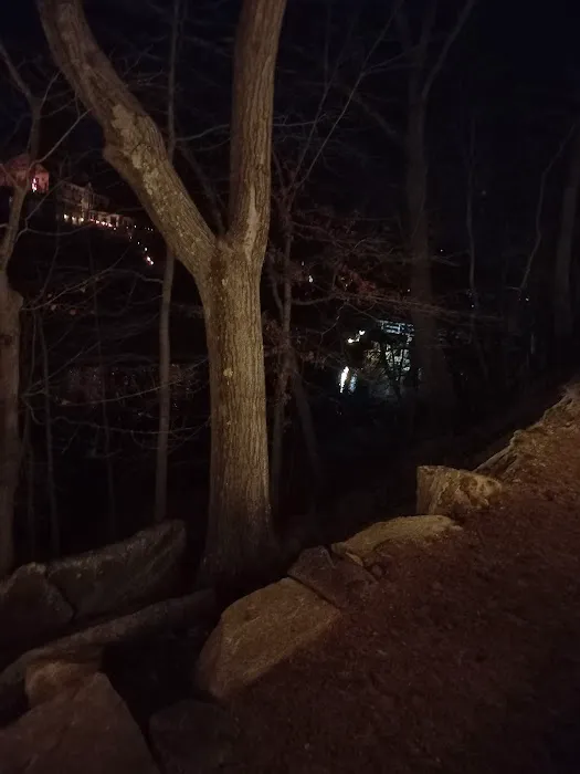 ApexGuard Roofing Solutions Picture 2