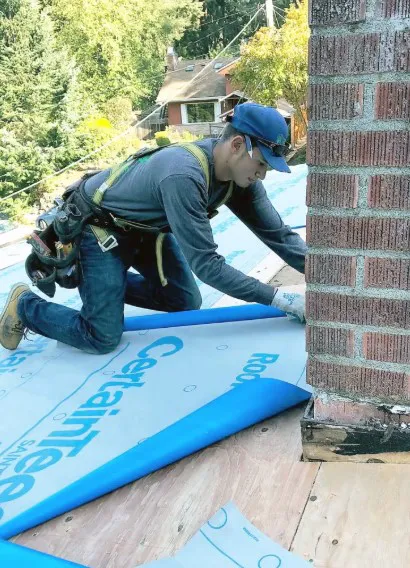 Three Tree Roofing Picture 1