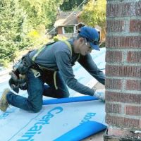 Three Tree Roofing ico