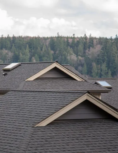 Eco Square Roofing LLC Picture 4