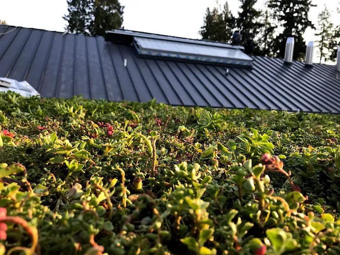 Element Smart Roofing Picture 5