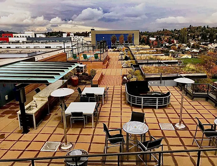 Element Smart Roofing Picture 6