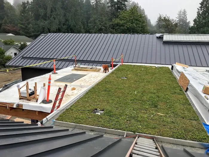 Element Smart Roofing Picture 2
