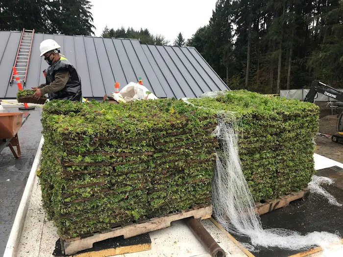 Element Smart Roofing Picture 8