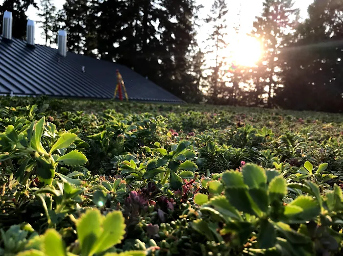 Element Smart Roofing Picture 9