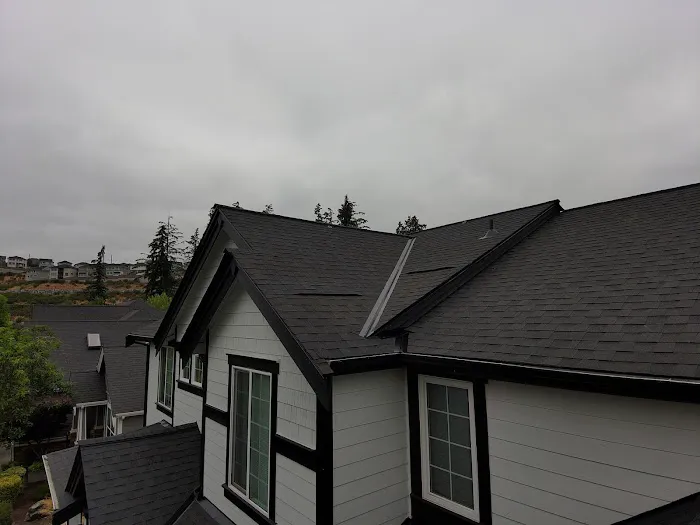 Orca Roofing & Exteriors Picture 4