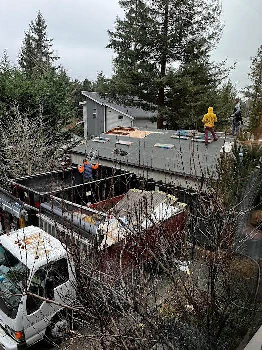 NGB Roofing Picture 9