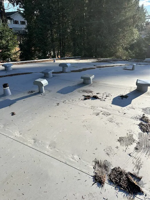 NGB Roofing Picture 2