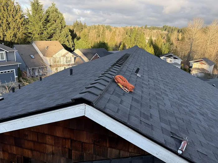 Silverlining Roof LLC Picture 5