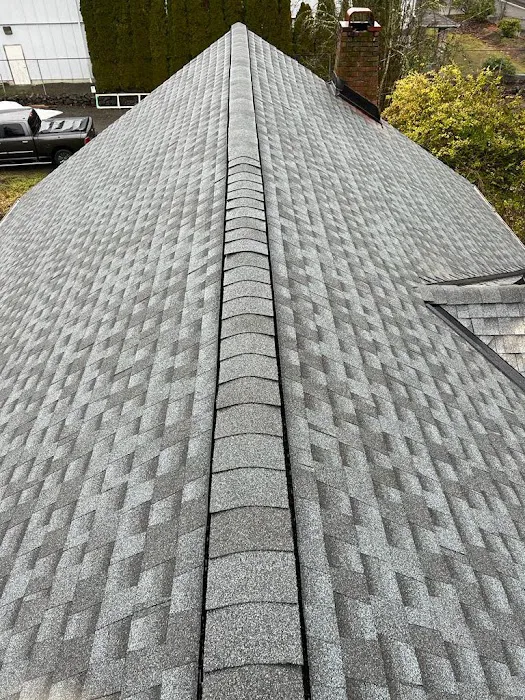 Elite Gold Contractors Picture 1