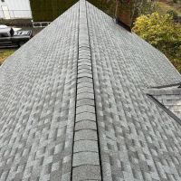 Elite Gold Contractors ico