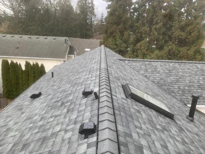 DGO Roofing and Gutter Services in Washington Picture 2