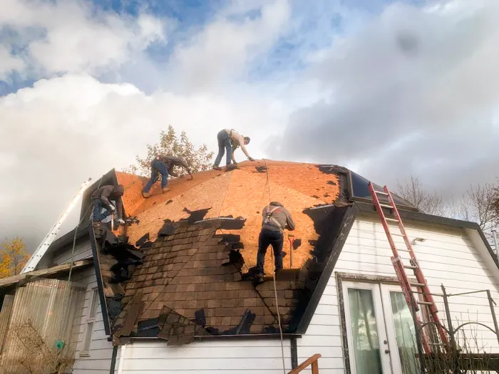 DGO Roofing and Gutter Services in Washington Picture 9