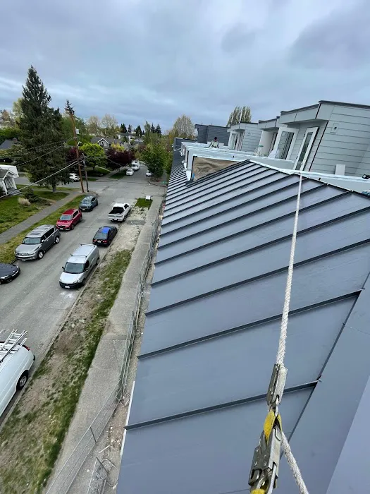 DGO Roofing and Gutter Services in Washington Picture 8