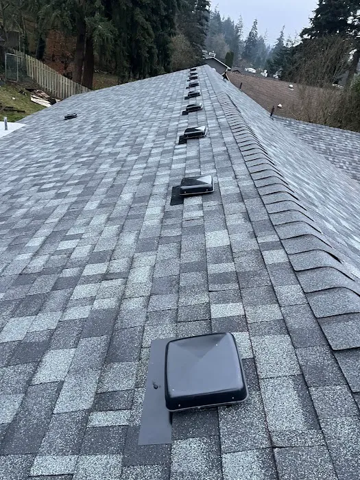 VBC Roof & Gutter Picture 1