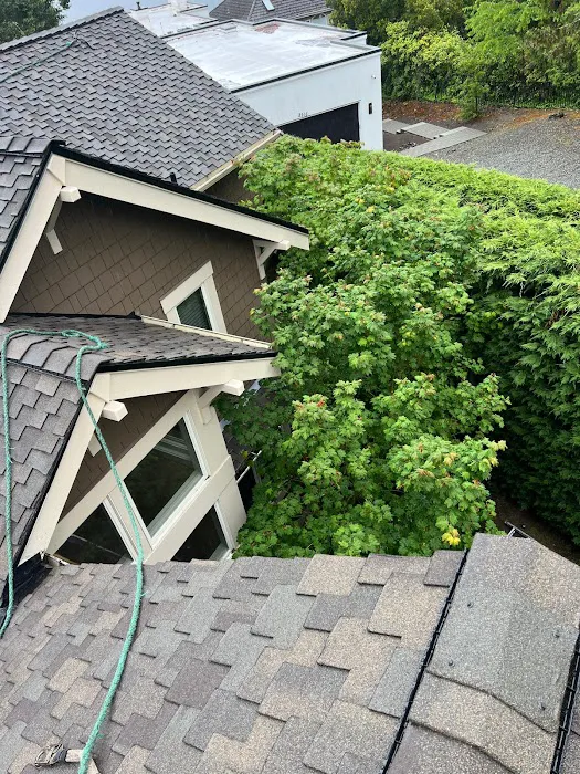 VBC Roof & Gutter Picture 5