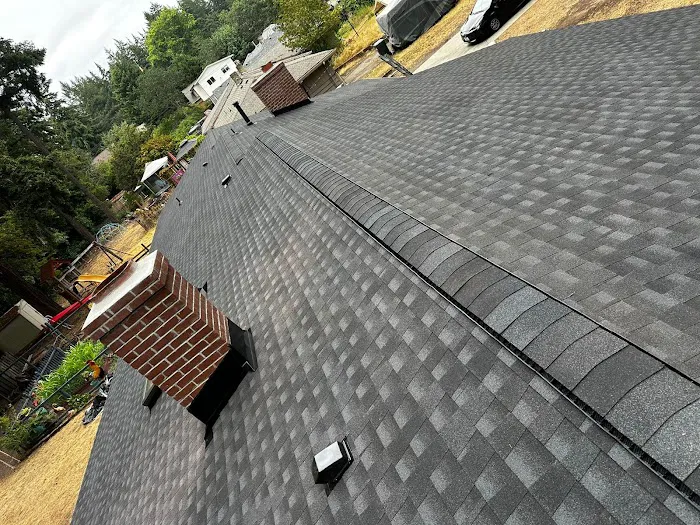 VBC Roof & Gutter Picture 4