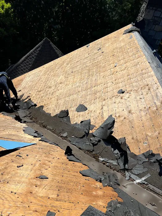 VBC Roof & Gutter Picture 8