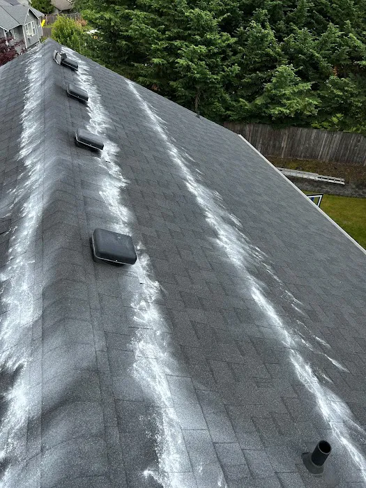 Royal Bear Roofing Picture 5