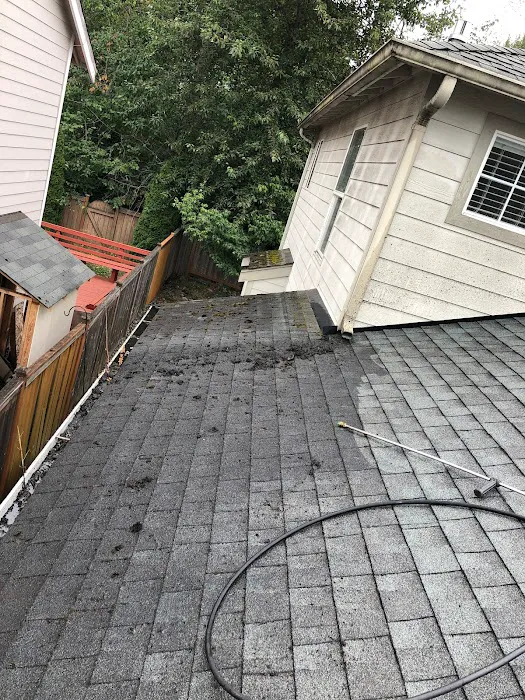 Royal Bear Roofing Picture 10