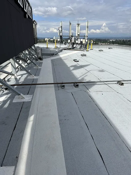 Loberg Roofing Picture 7