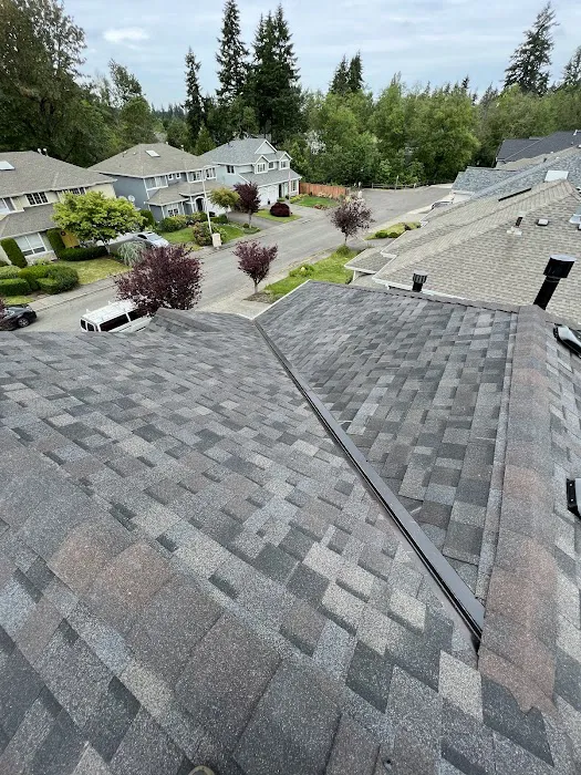 AJJ Morales Roofing Picture 3