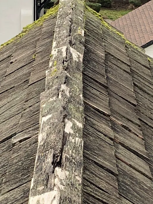 Junior Roofing Services Picture 5