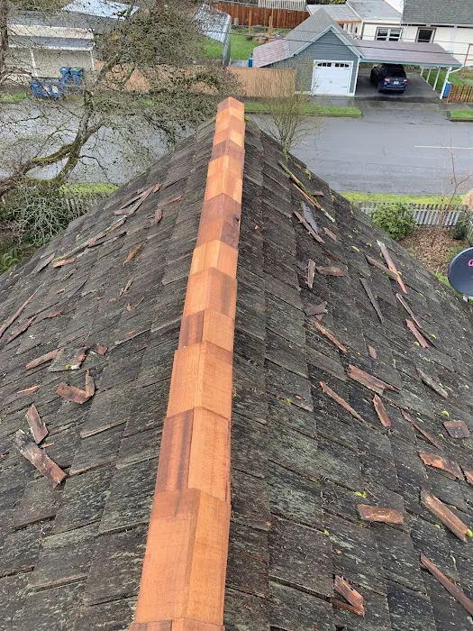 Junior Roofing Services Picture 3