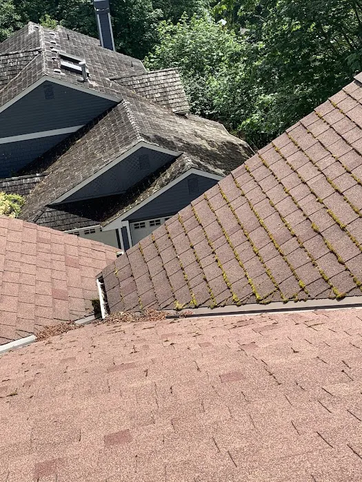 Junior Roofing Services Picture 2