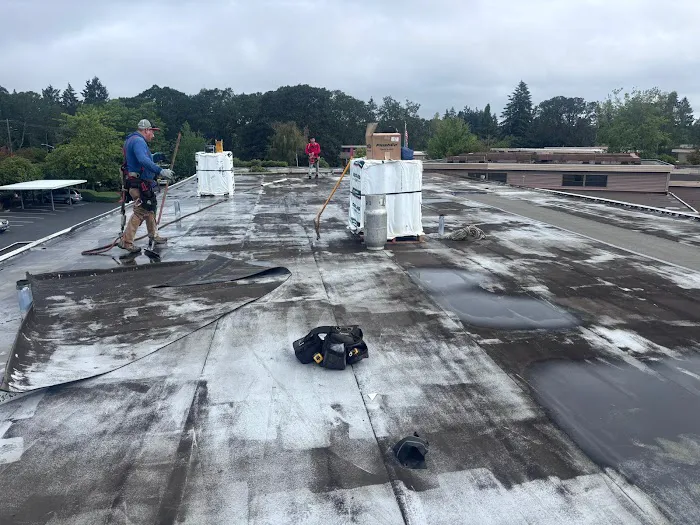 Alex Roofing Repair LLC Picture 10