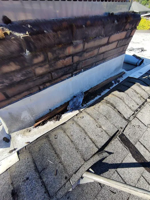 IG Roofing Systems LLC Picture 8