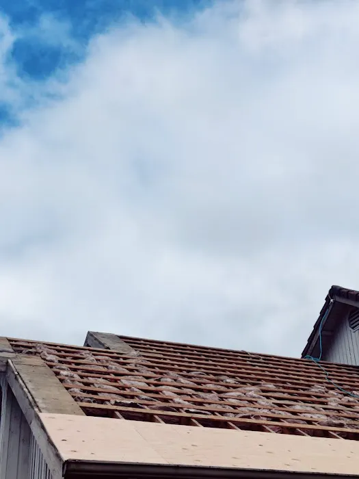 IG Roofing Systems LLC Picture 1