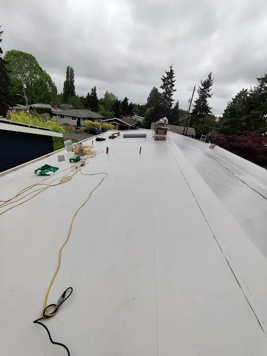 IG Roofing Systems LLC Picture 4