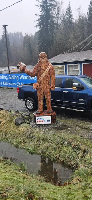 True Blue Roofing and Siding Picture 4