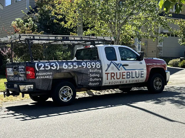 True Blue Roofing and Siding Picture 1