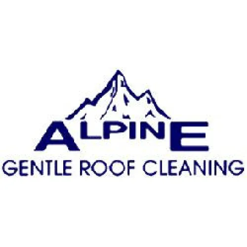 Alpine Roofing Picture 1